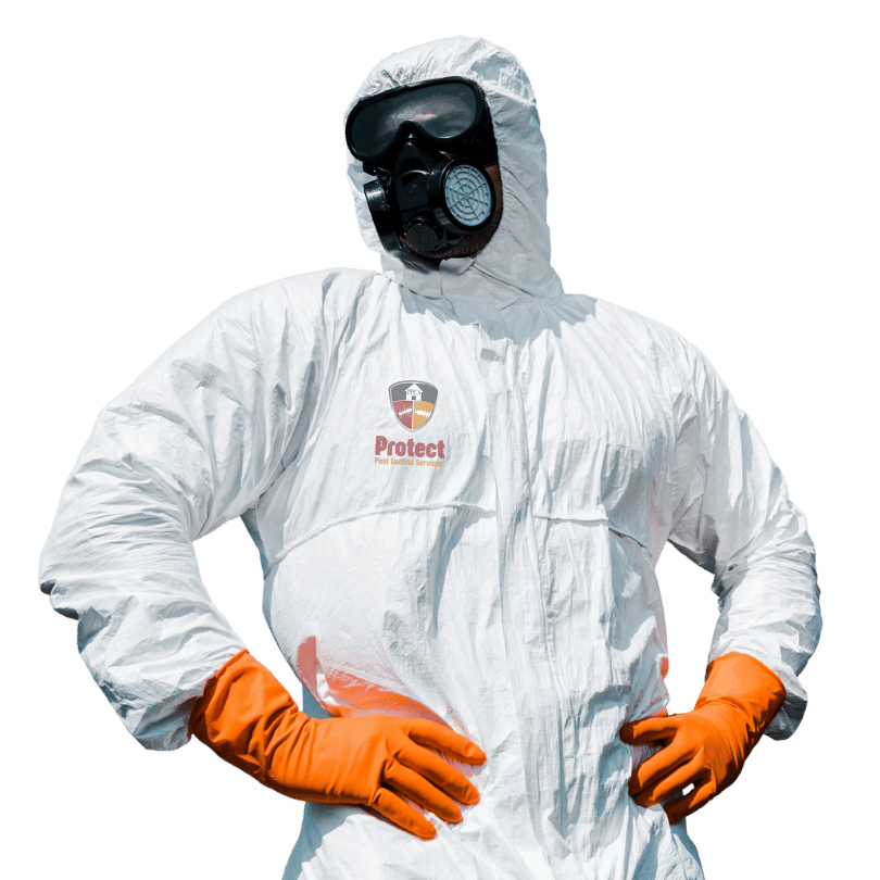 Emergency pest control services technician with confident mood
