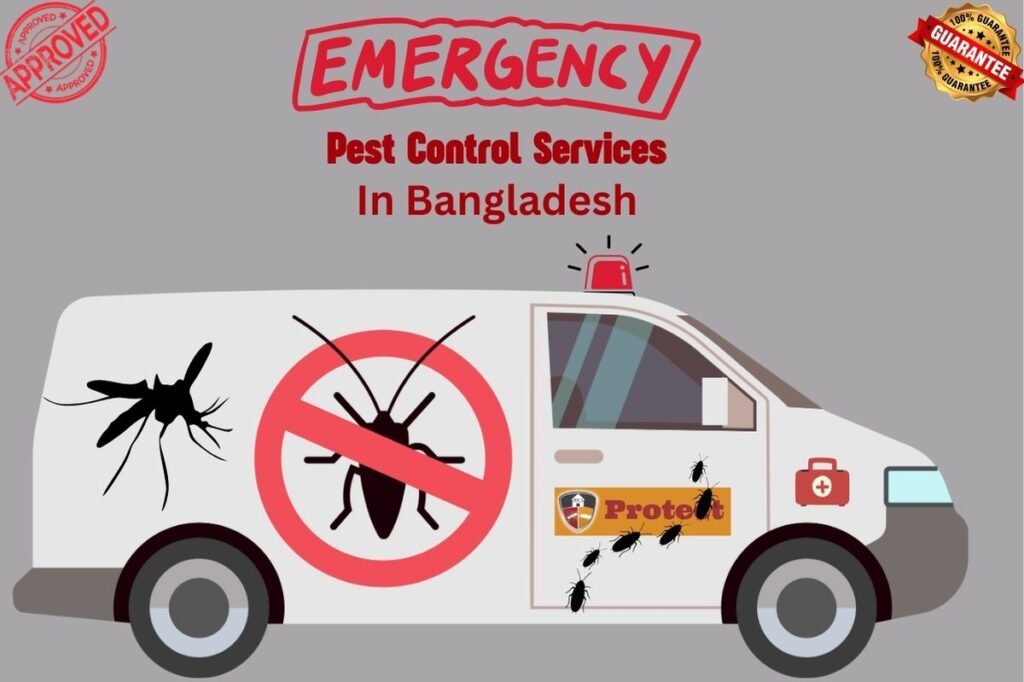 Emergency Pest Control Service in Dhaka
