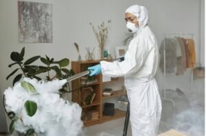 About Fumigation Service