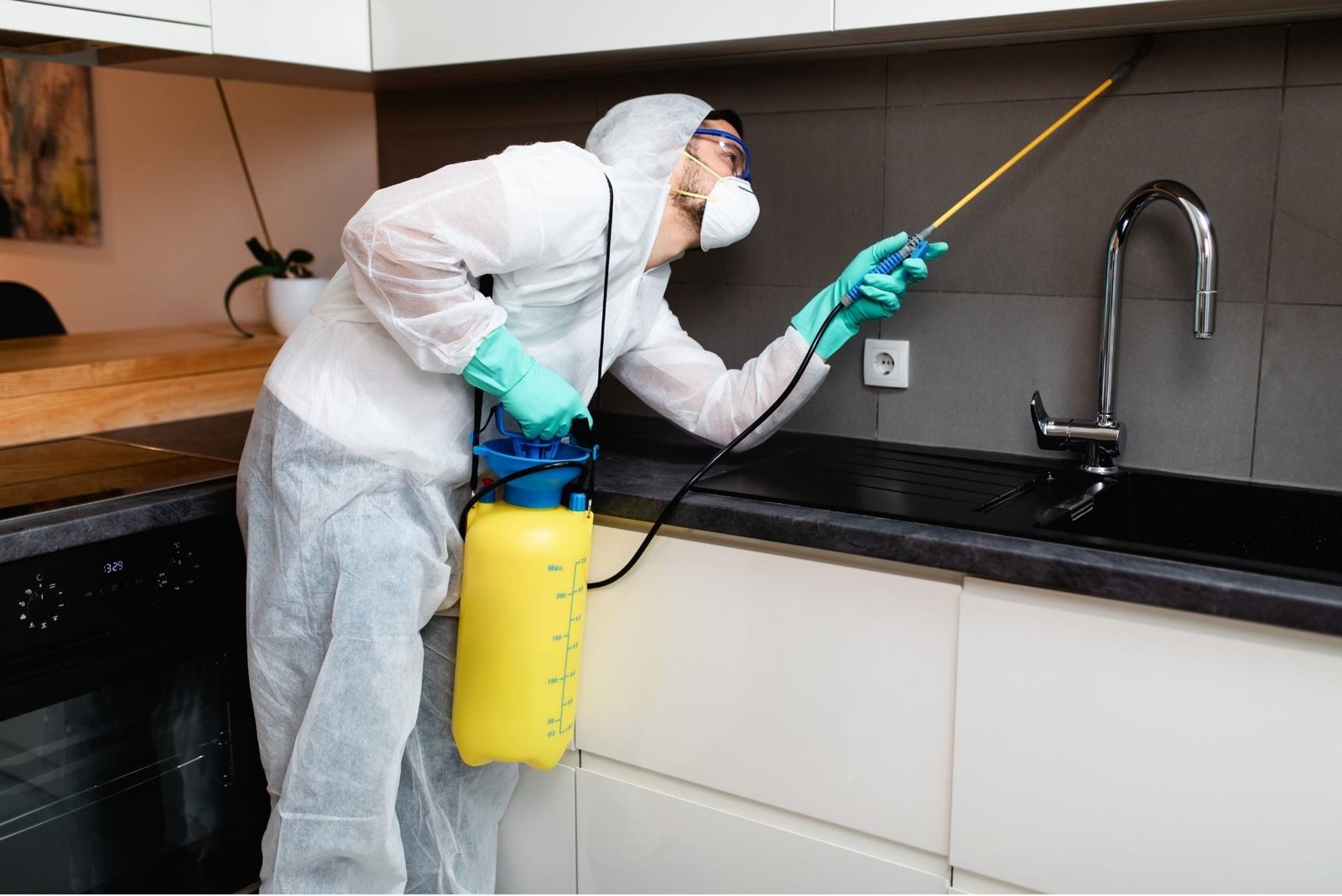 Why Do We Need Pest Control
