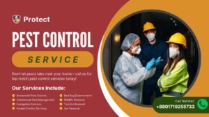 How To Choose The Right Pest Control Service Provider